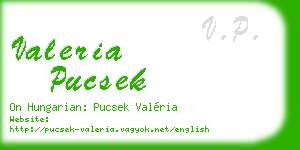 valeria pucsek business card